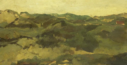 Un paesaggio di brughiera