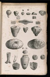 Tavola 006