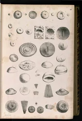 Tavola 014