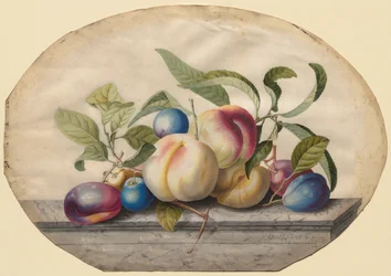 Composizione di frutta: Pesche e prugne su una lastra di marmo, 1742