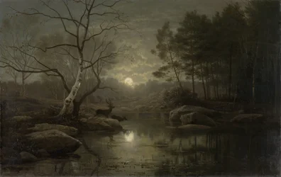 Paesaggio forestale al chiaro di luna