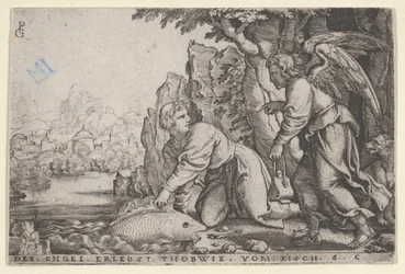 Tobiolo cattura il pesce, dalla Storia di Tobia, 1543