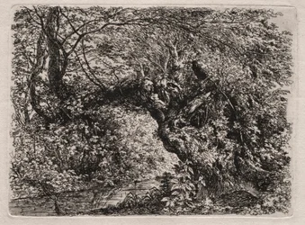 Il Vecchio Salice a un Ruscello, 1794