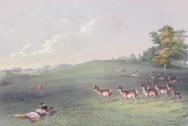 Il portafoglio degli indiani nordamericani di George Catlin