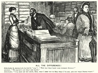 Tutta la differenza! (incisione)