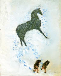 Non un cavallo bianco