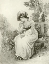 Perdita