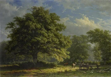 Veduta nella foresta di Bentheim