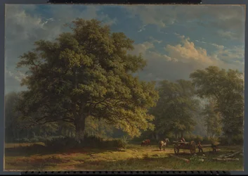 Vista nella foresta di Bentheim