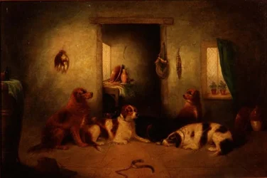 I cani della cucina