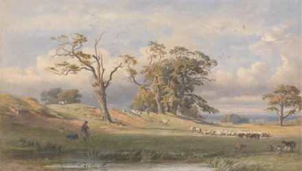 Vecchio campo britannico nel parco di Bulstrode