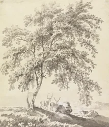 Studio di Alberi con Cervi (Paesaggio)