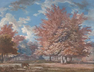 Vista in un Parco