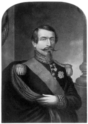 Carlo Luigi Napoleone Bonaparte, Imperatore dei Francesi, XIX secolo 1910