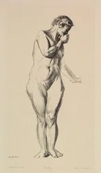 Studio del nudo