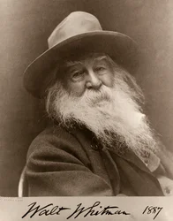Ritratto di Walt Whitman nel 1887