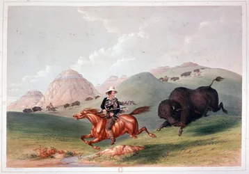 Caccia al bisonte in Nord America - litografia di Georges Catlin