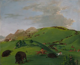 Caccia al bufalo, alla foce del fiume Yellowstone, 1832-1833
