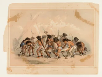 Ballo del bufalo n. 8