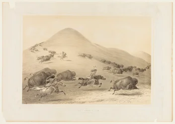 Caccia al bufalo, Chase--no. 6