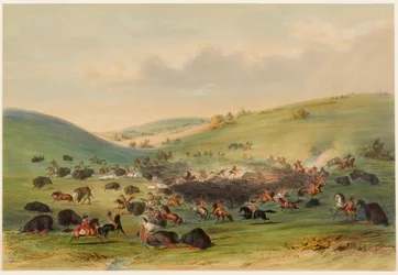 Caccia al bisonte, accerchiamento