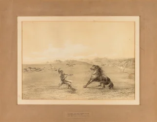 Catturare il cavallo selvaggio - n. 4