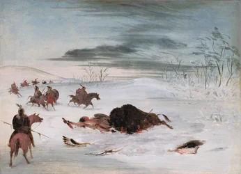 Toro bufalo morente in un cumulo di neve