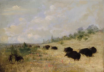 Alci e bufali al pascolo tra i fiori della prateria, Texas