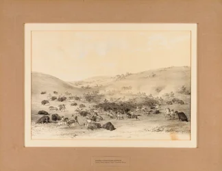 Indiani che circondano Buffalo - n. 9