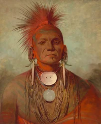See-non-ty-a, un uomo medicina Iowa