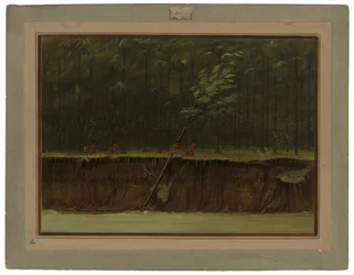 Veduta del basso Mississippi