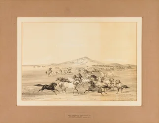 Cavalli selvaggi in gioco - n. 3