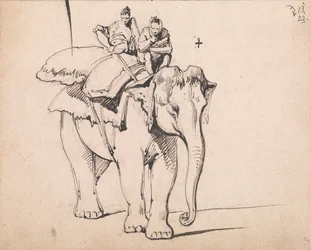 Un elefante