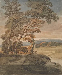Alberi su un sentiero collinare