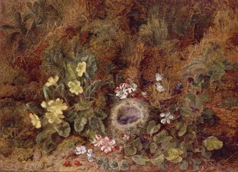 Natura morta con nido di uccelli e fiori selvatici