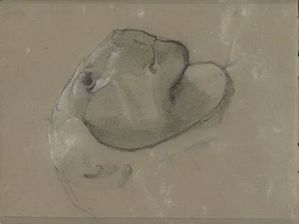 Testa di leone, probabilmente da una scultura