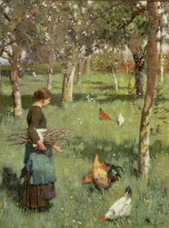 Primavera
