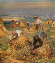 Legare i covoni, 1902, 1923