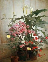 Lato di una serra, 1870-80