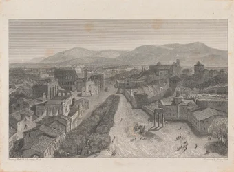 Il Foro Romano dalla Torre del Campidoglio
