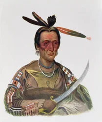 To-Ka-Cou, un capo Sioux Yankton, 1837, illustrazione da 