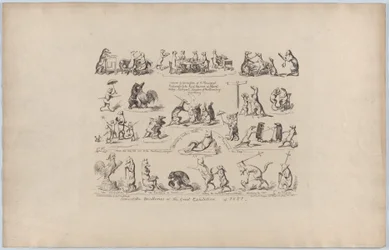 Alcune delle buffonate della Grande Esposizione, 1851