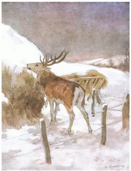 Presto scoprì dove era tenuto il foraggio per i buoi