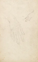 Studio delle mani