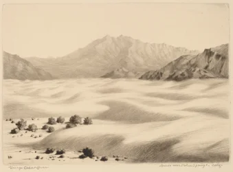 Dune vicino a Palm Springs, California (n.2)
