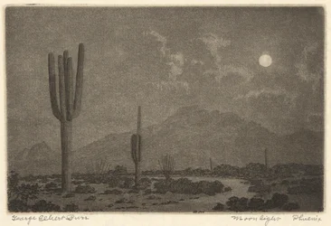 Luce della luna-Fenice