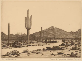 Strada per Paradise Valley, Arizona