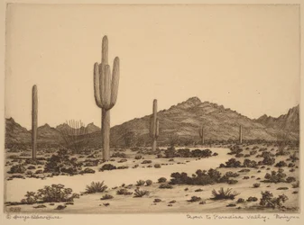 Strada per Paradise Valley, Arizona