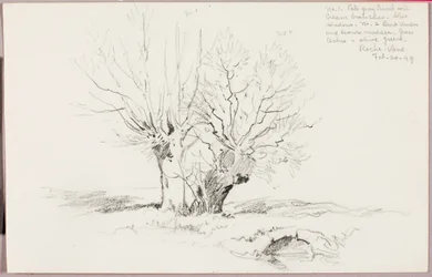 Roche Vaud
