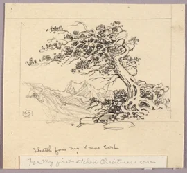 Bozzetto per biglietto di Natale (Windswept Pine [n. 1])